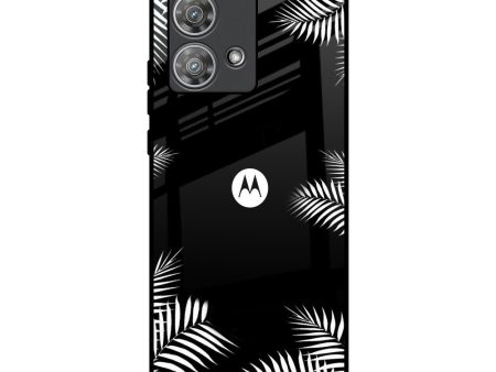 Zealand Fern Design Glass Case For Motorola Edge 40 Neo For Sale